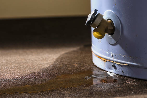 Best 24-hour water damage restoration  in Coats, NC