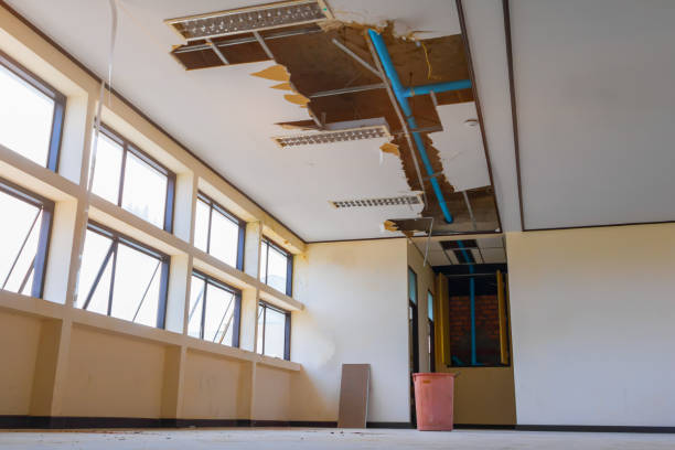 Best Basement water damage restoration  in Coats, NC