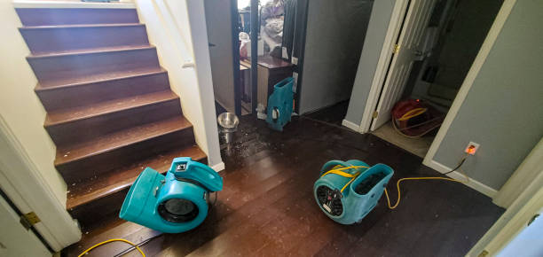 Best Water damage restoration near me  in Coats, NC