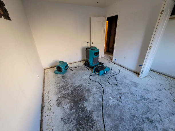 Best Local water damage restoration  in Coats, NC