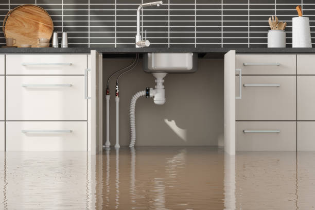 Best Basement water damage restoration  in Coats, NC